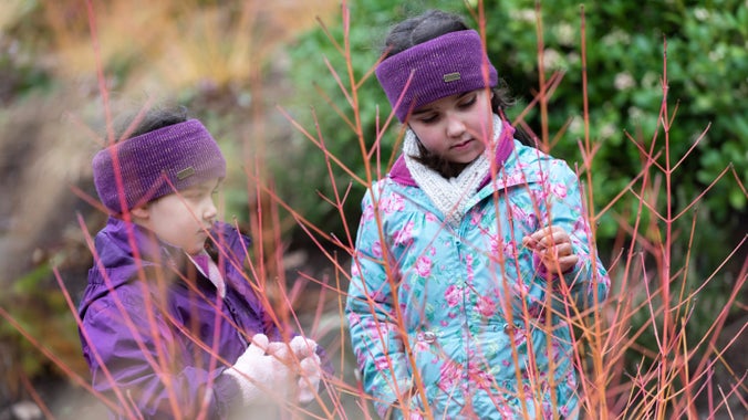 Children in the Winter Garden at Bodnant Garden